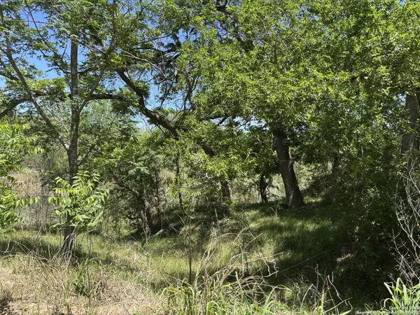 Elmendorf, TX 78112,5353 Labus Rd Lot 10