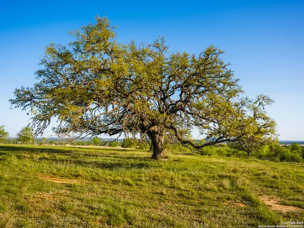 Comfort, TX 78013,LOT20 Oak Mott Rd