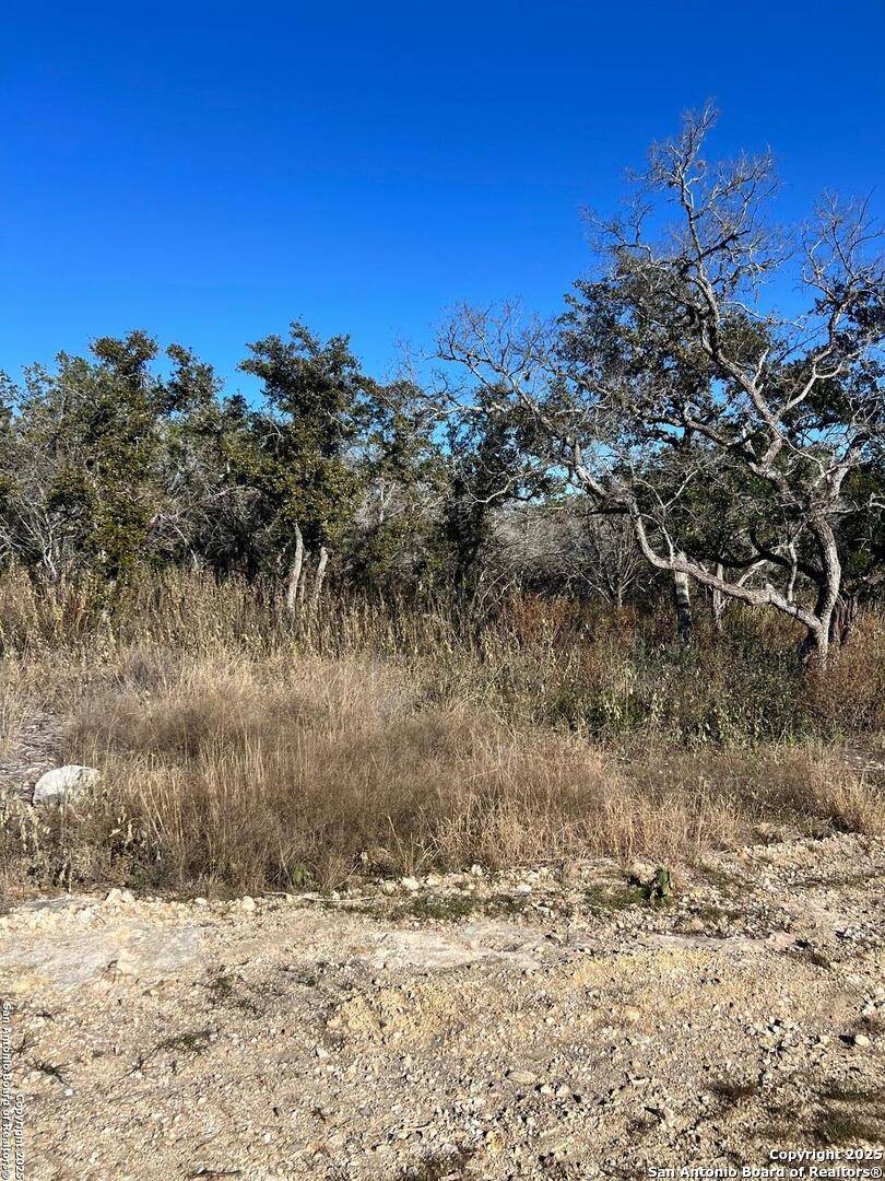 Hondo, TX 78861,LOT 119 Grand Oaks