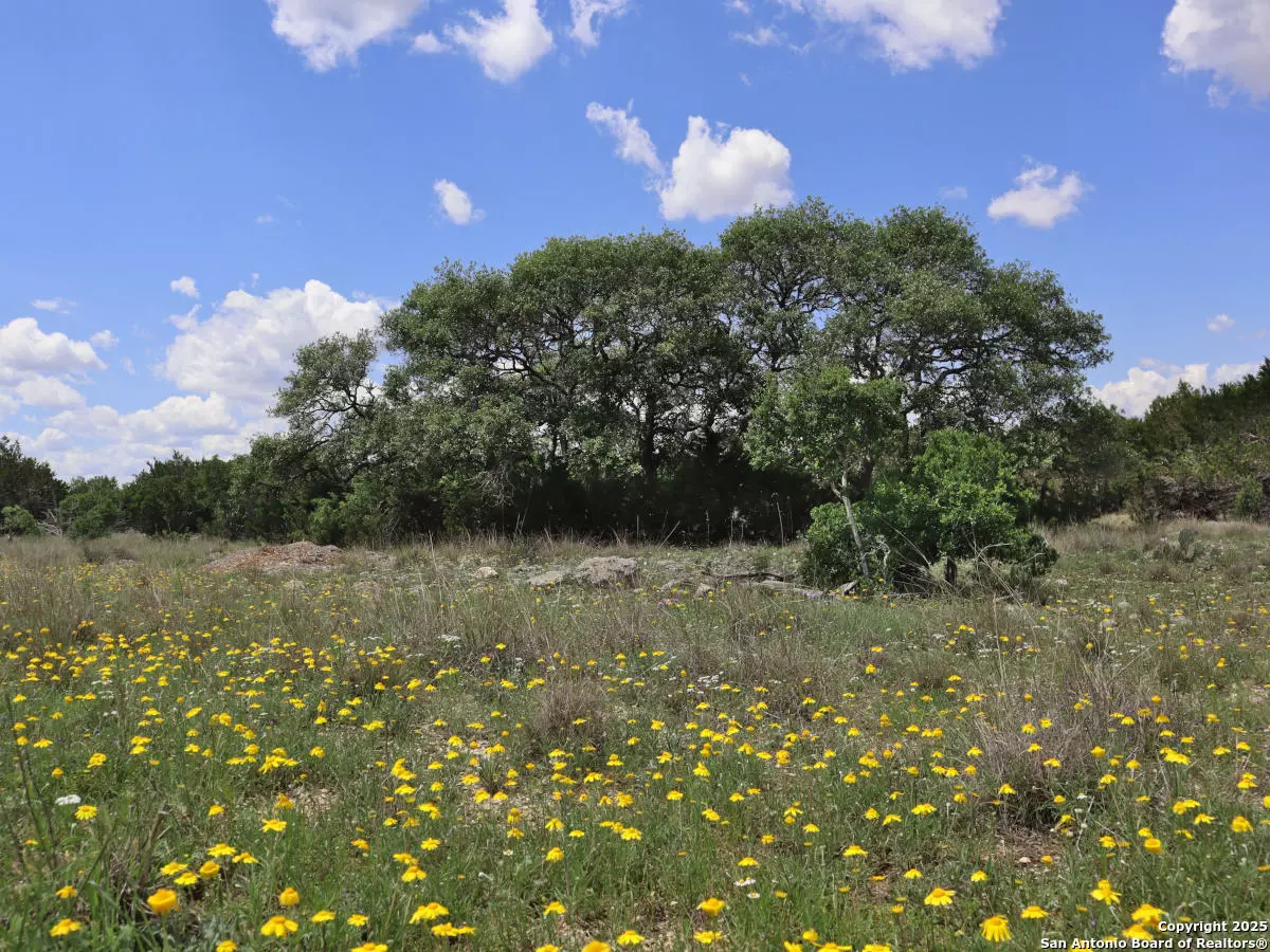 Bandera, TX 78003,TBD 108 Palomino