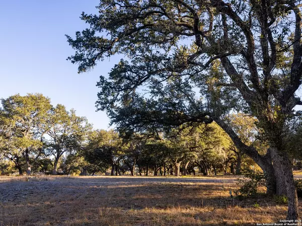 Blanco, TX 78606,6.56 ACRES Ranch Road 1623