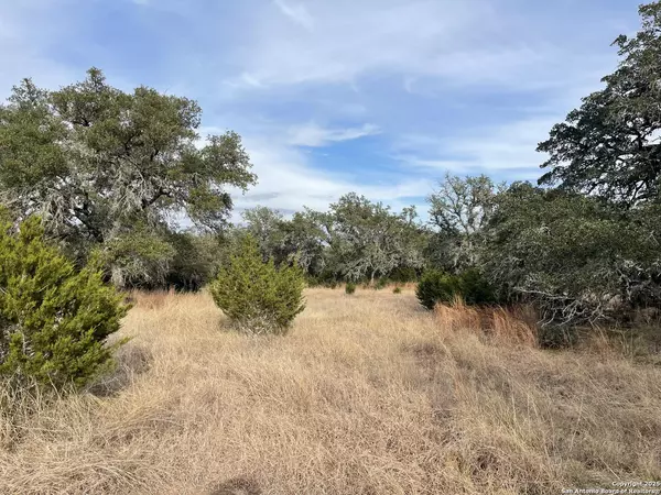 Pipe Creek, TX 78063,TBD Kimberly Drive