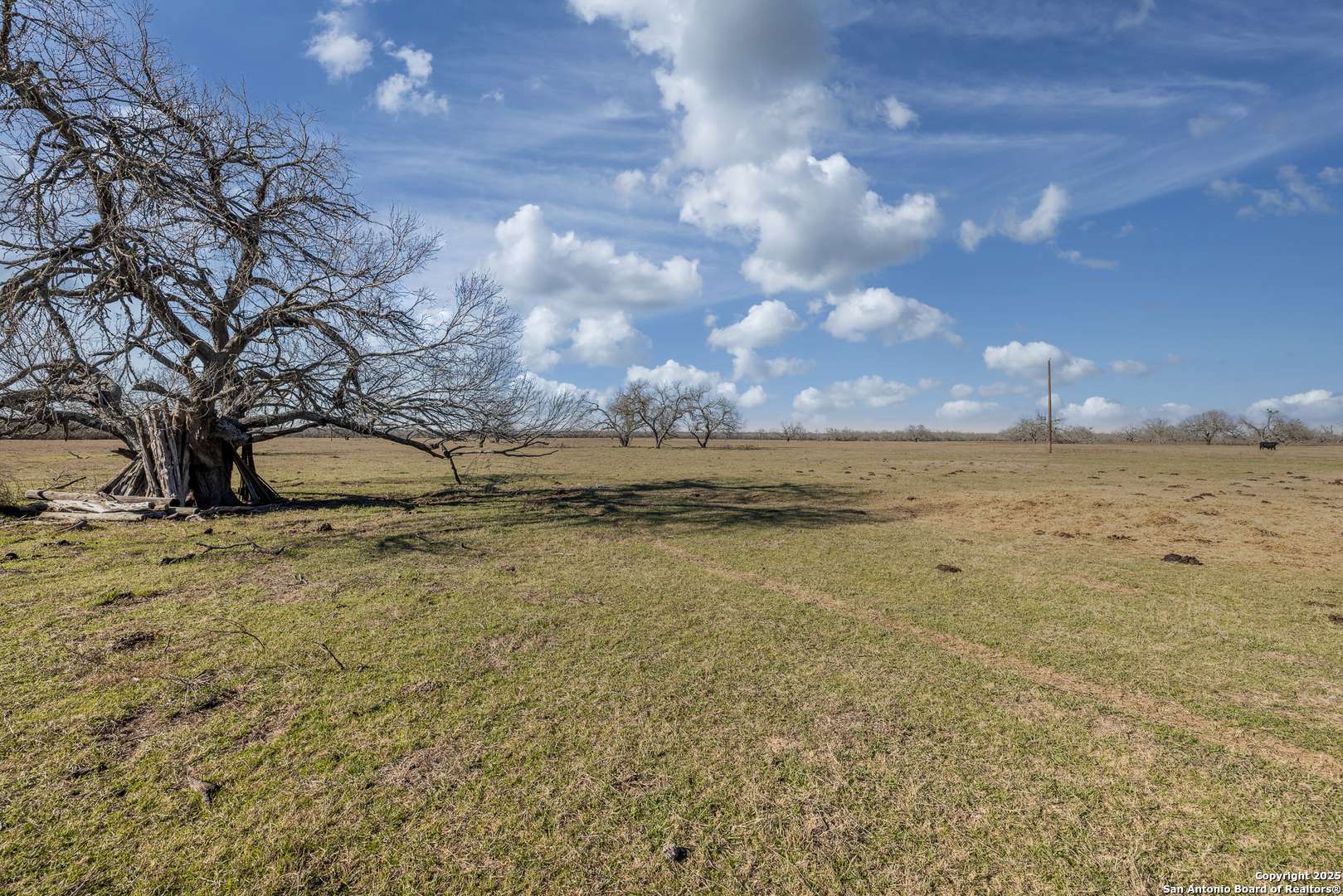 5824 Hwy 97, Nixon, TX 78140