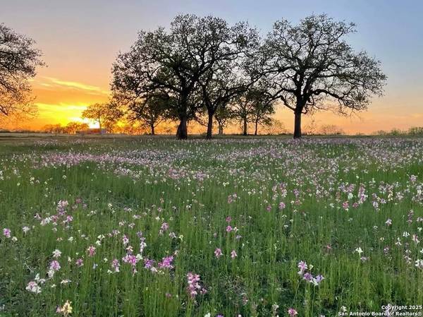 460 WOELKE RD, Seguin, TX 78155-9347