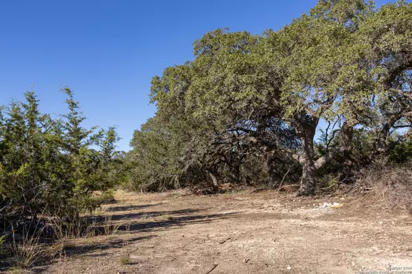 Boerne, TX 78006,BLOCK 1, LOT 6 Fortunate Son