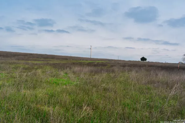 Kingsbury, TX 78638,4330 CR 234 Rd