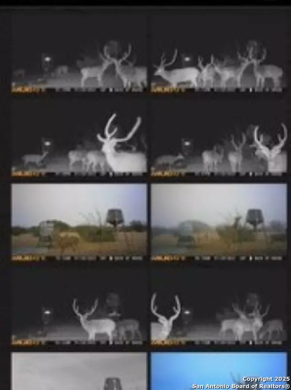 Rocksprings, TX 78880,527 SD 74100