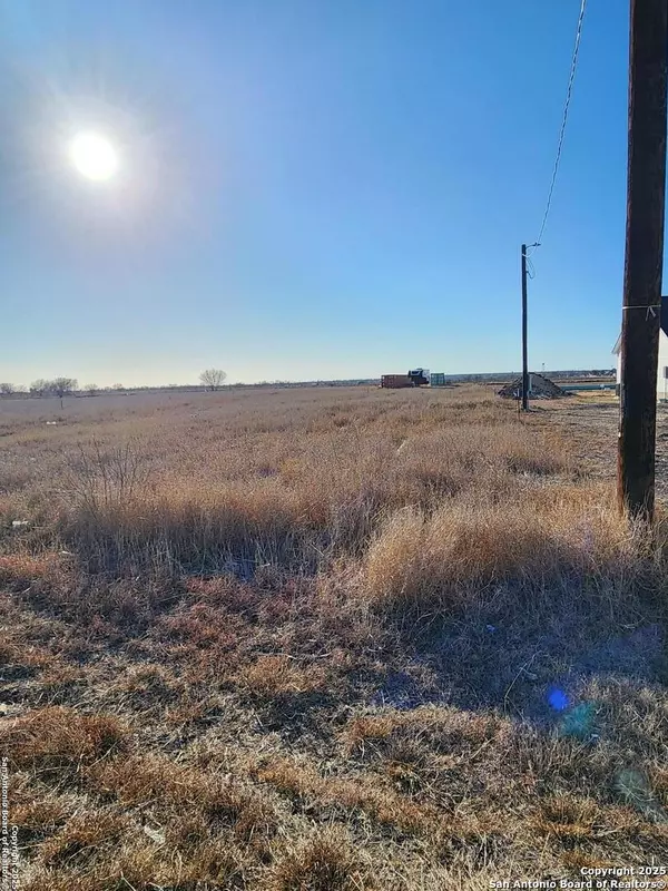 Natalia, TX 78059,192 Medina Verde Dr., Lot 5