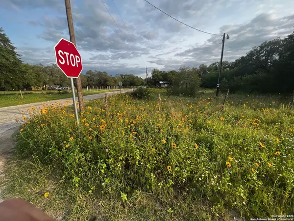 Poteet, TX 78065,LOT 28 Mariposa Dr