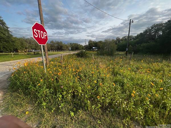 Poteet, TX 78065,LOT 28 Mariposa Dr