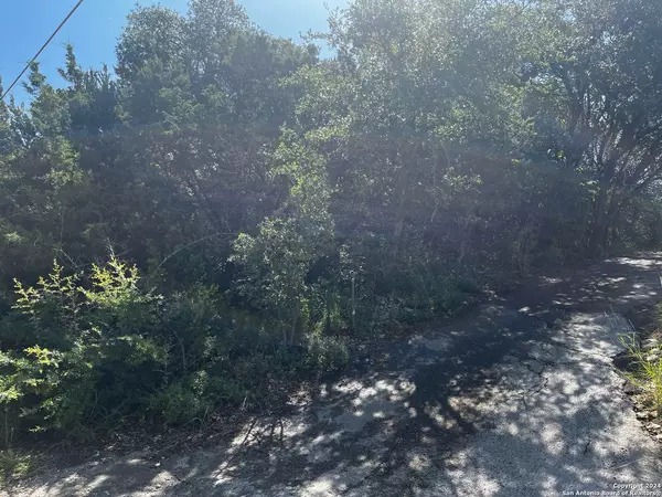 Spring Branch, TX 78070,628 HILLSIDE DR