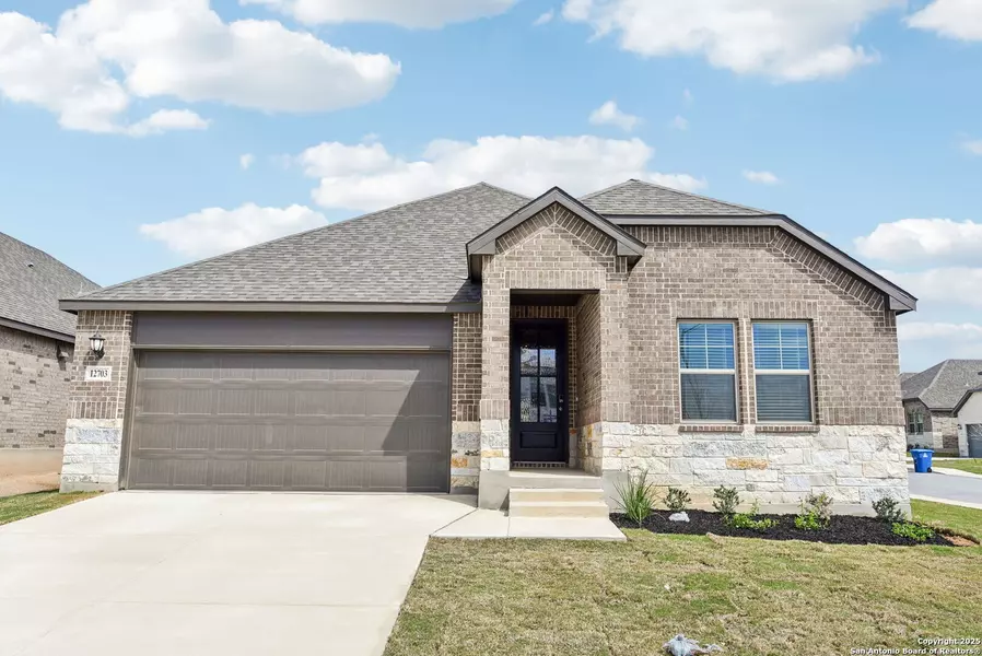 12703 Dinaric Alps, San Antonio, TX 78245