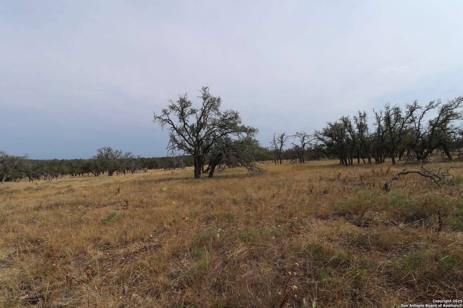 Harper, TX 78631,501 Nott Branch Rd