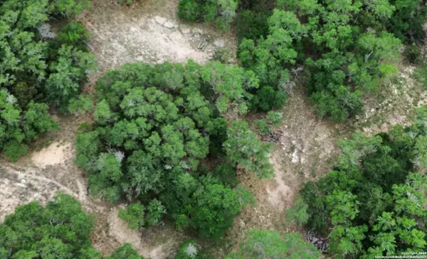 San Antonio, TX 78253-5313,LOT 270 FOREST CLFS