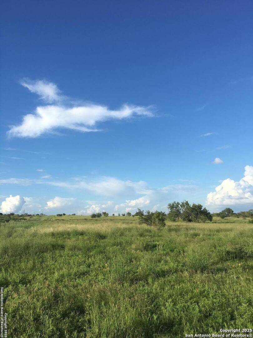 Devine, TX 78016,2795 county road 651