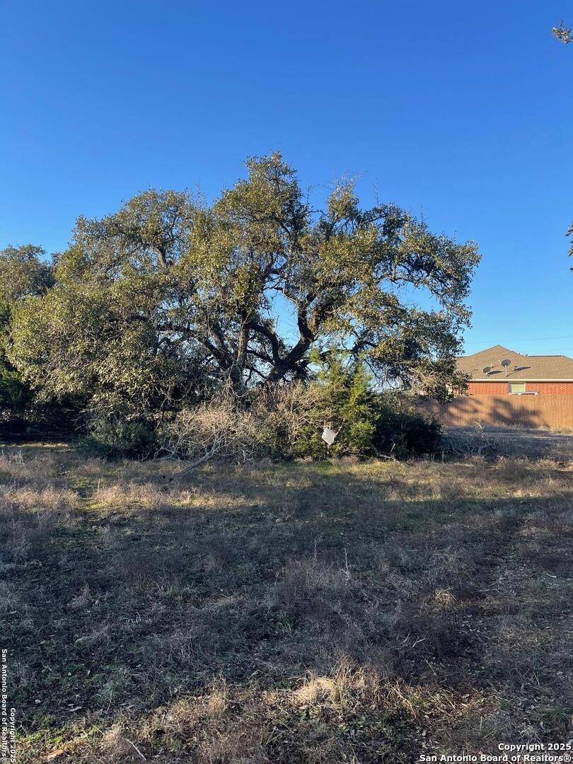 205 S Calvin Barrett, Blanco, TX 78606