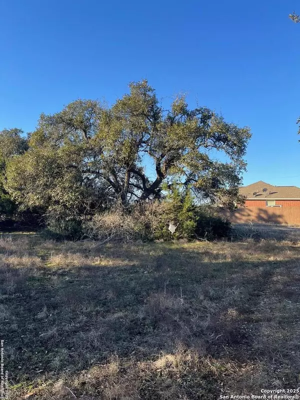 205 S Calvin Barrett, Blanco, TX 78606