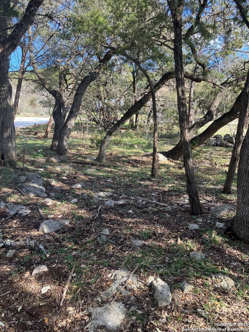 Spring Branch, TX 78070,253 TWIN LAKE TRL