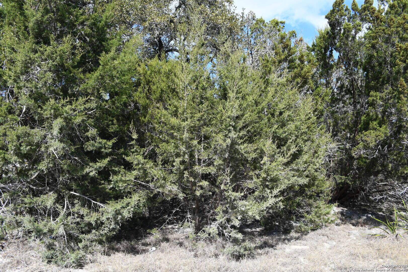 Spring Branch, TX 78070,1738 Cave DR