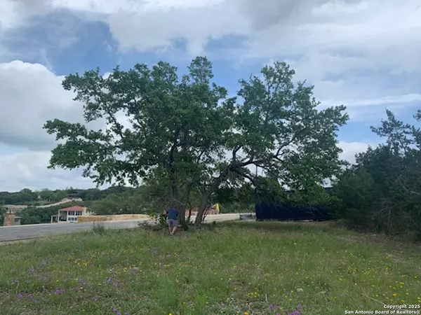 Canyon Lake, TX 78133,523 OAK SHORES DR