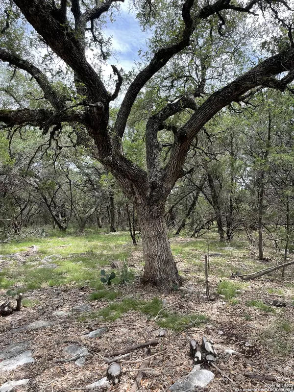 San Antonio, TX 78266-2918,24814 CREEK LOOP