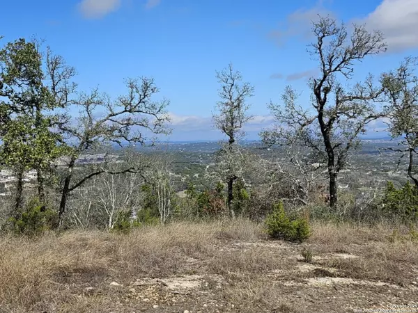 San Antonio, TX 78023,10718 NINA RDG
