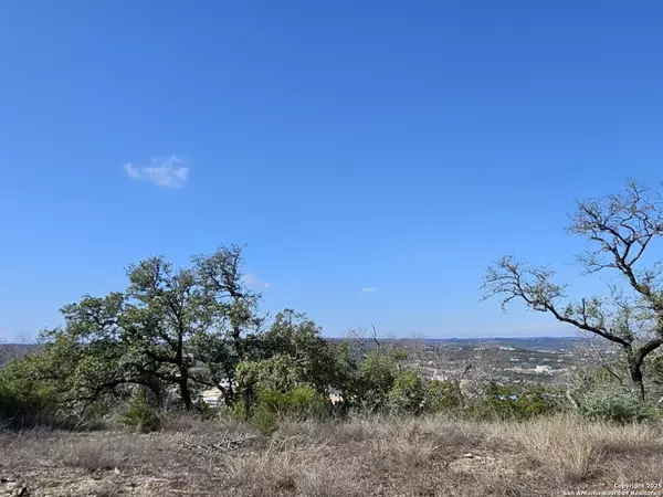 San Antonio, TX 78023,10718 NINA RDG