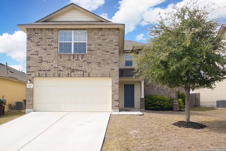 481 EASTERN PHOEBE, San Antonio, TX 78253-4463