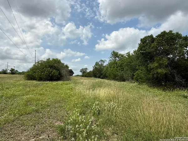 Kenedy, TX 78119-5299,TRACT 4 COUNTY ROAD 342