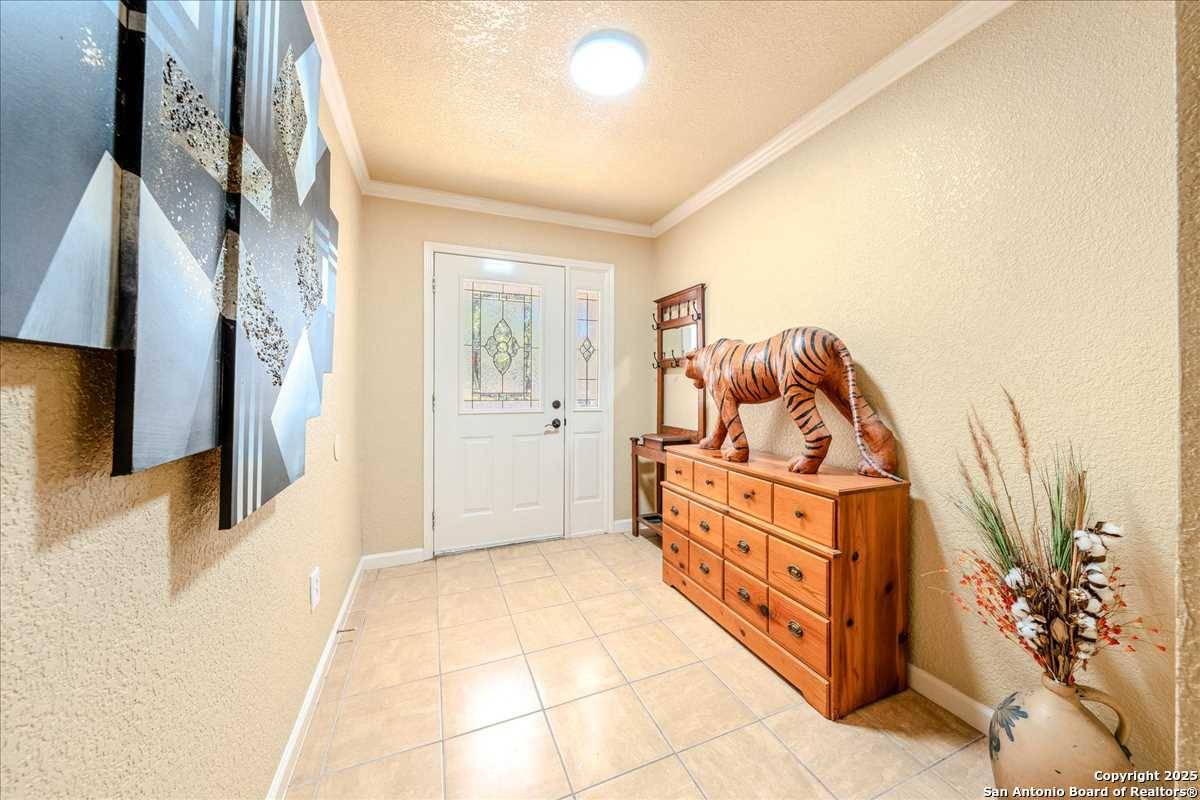 Floresville, TX 78114-6733,241 SHAMROCK DR