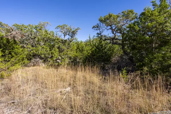 Boerne, TX 78006,BLOCK 1, LOT 18 Standing Tall