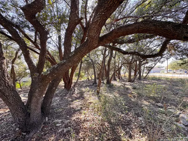 Canyon Lake, TX 78133,TBD Westview Dr