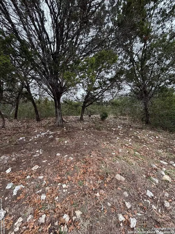 Boerne, TX 78006,LOT 47 Roaring Creek