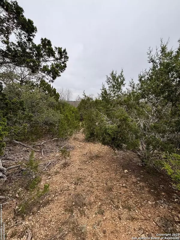 Boerne, TX 78006,LOT 47 Roaring Creek