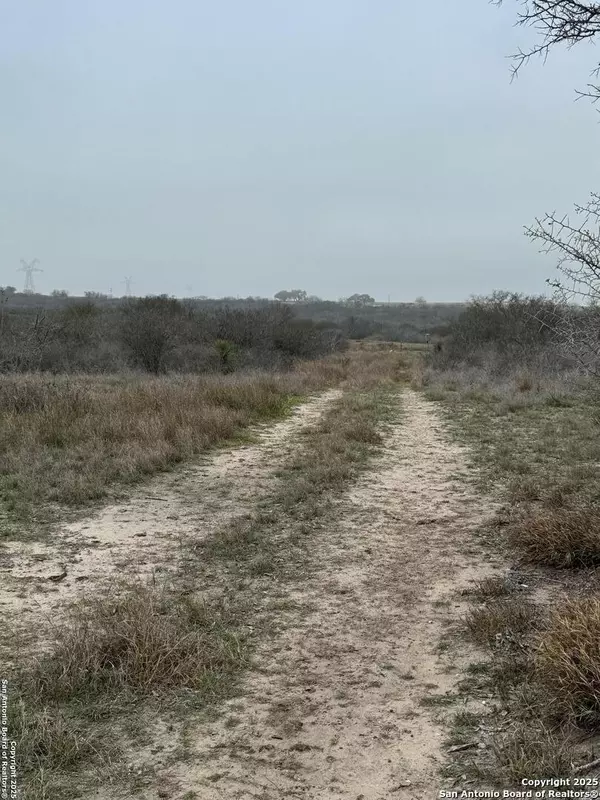 Kenedy, TX 78119-5332,00 COUNTY ROAD 153
