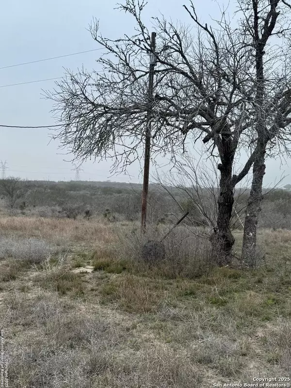 Kenedy, TX 78119-5332,00 COUNTY ROAD 153