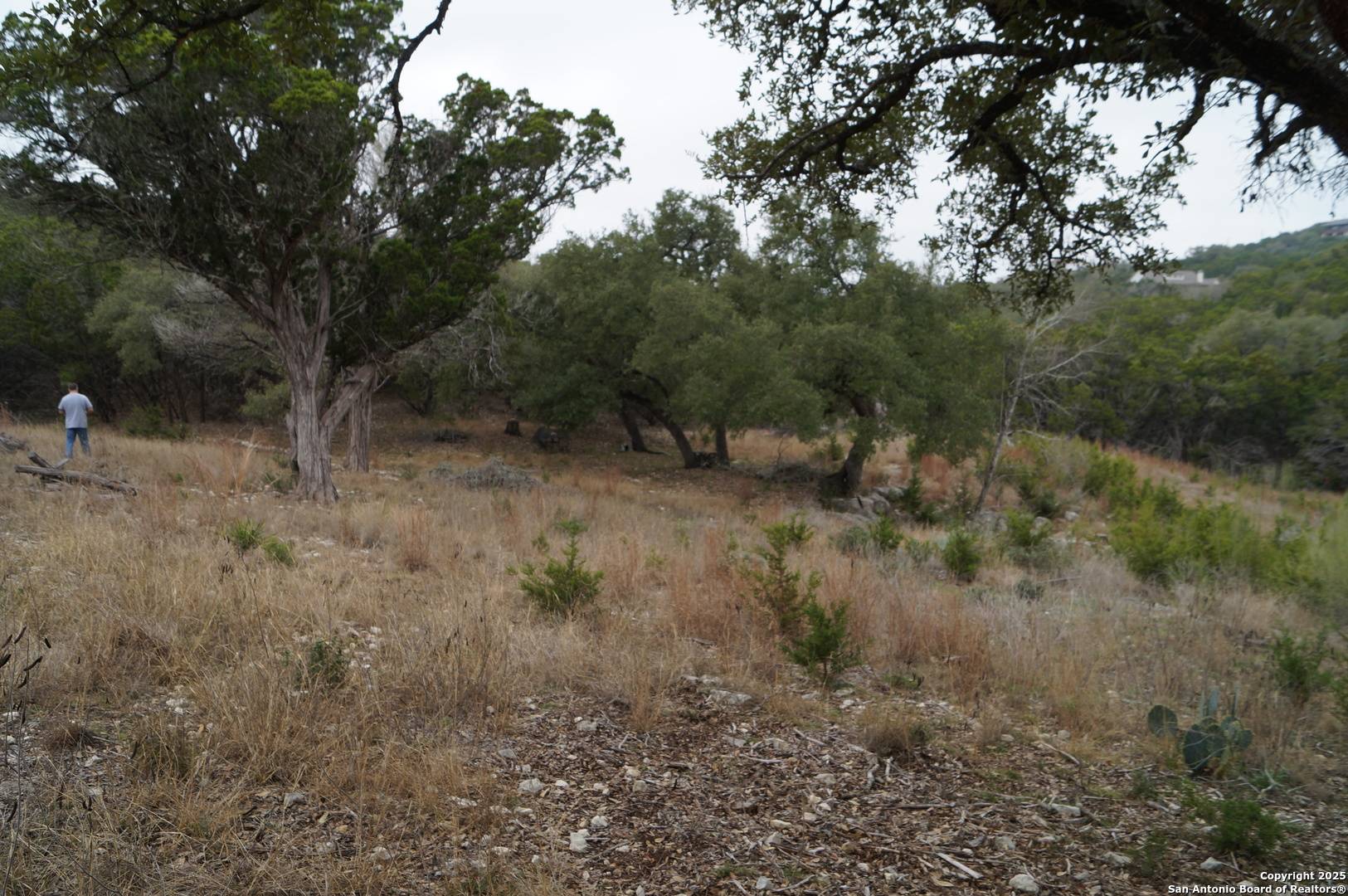 Canyon Lake, TX 78133,1240 Rose Ln