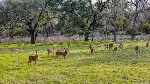 Boerne, TX 78006-7987,124 HOSKINS TRL