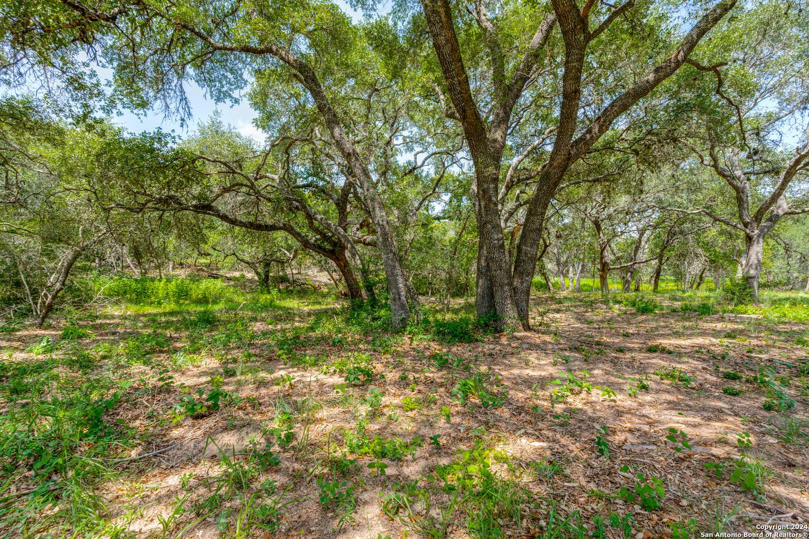 La Vernia, TX 78121,161 Chisum Trl