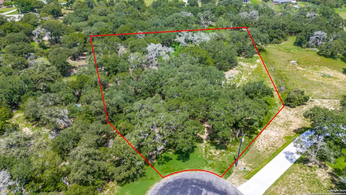 La Vernia, TX 78121,161 Chisum Trl