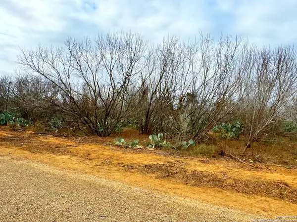 Moore, TX 78057,TBD Old Hwy 81 Lot 4