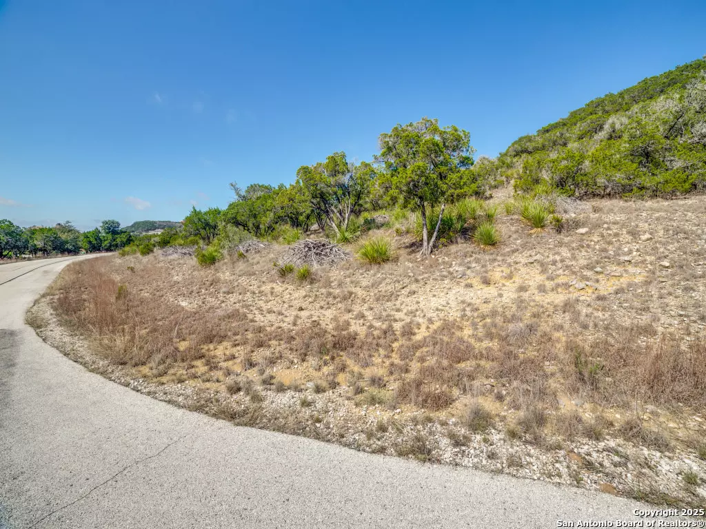 Mico, TX 78056,LOT 138 PR 1737