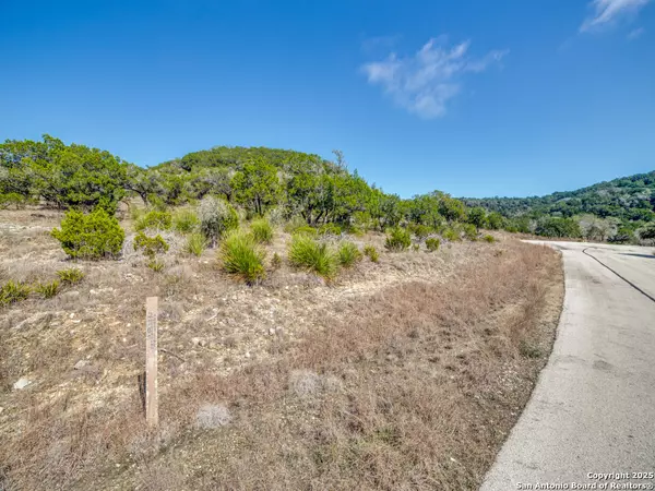 Mico, TX 78056,LOT 138 PR 1737