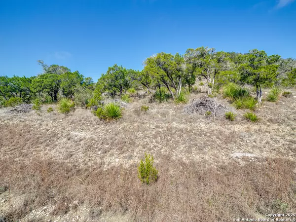 Mico, TX 78056,LOT 138 PR 1737