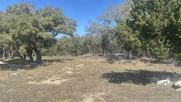Spring Branch, TX 78070,1541 Echo Meadow Ln