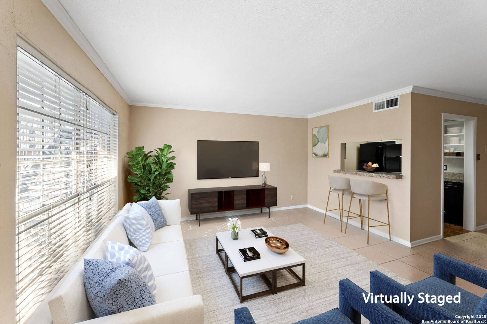 8401 NEW BRAUNFELS UNIT 303, San Antonio, TX 78209