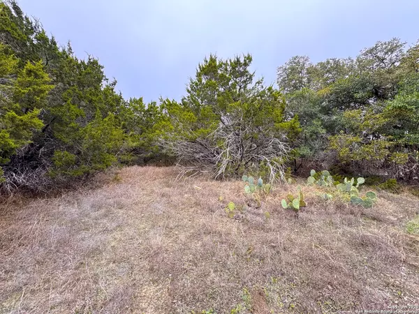 Blanco, TX 78070,0 Golf Dr