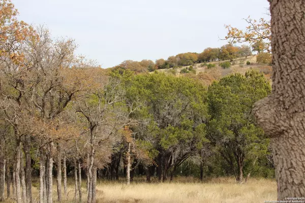 117 whitetail trail, San Saba, TX 76877