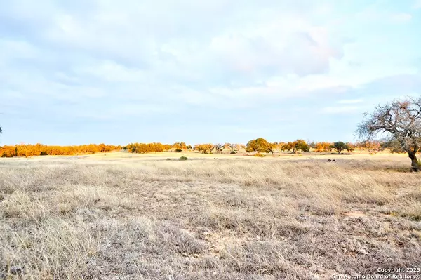 Harper, TX 78631,-- Oryx View Dr.