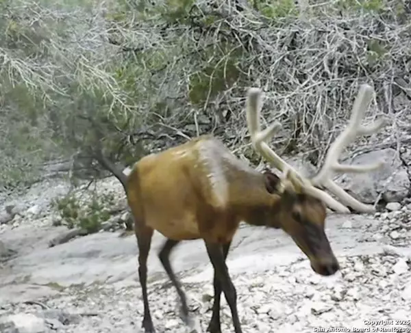 Rocksprings, TX 78880,TBD SD 32740